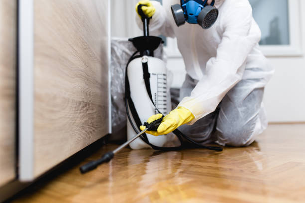 Best Bed Bug Extermination  in West Palm Beach, FL