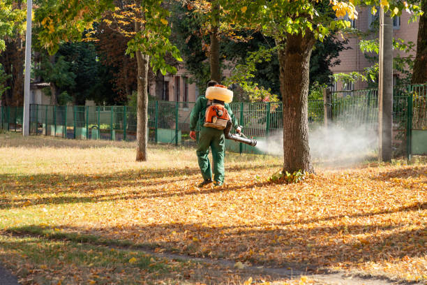 Best Pest Control Near Me  in West Palm Beach, FL